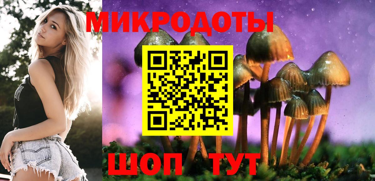 Брянск  Псилоцибиновые грибы мицелий  Вход с VPN 