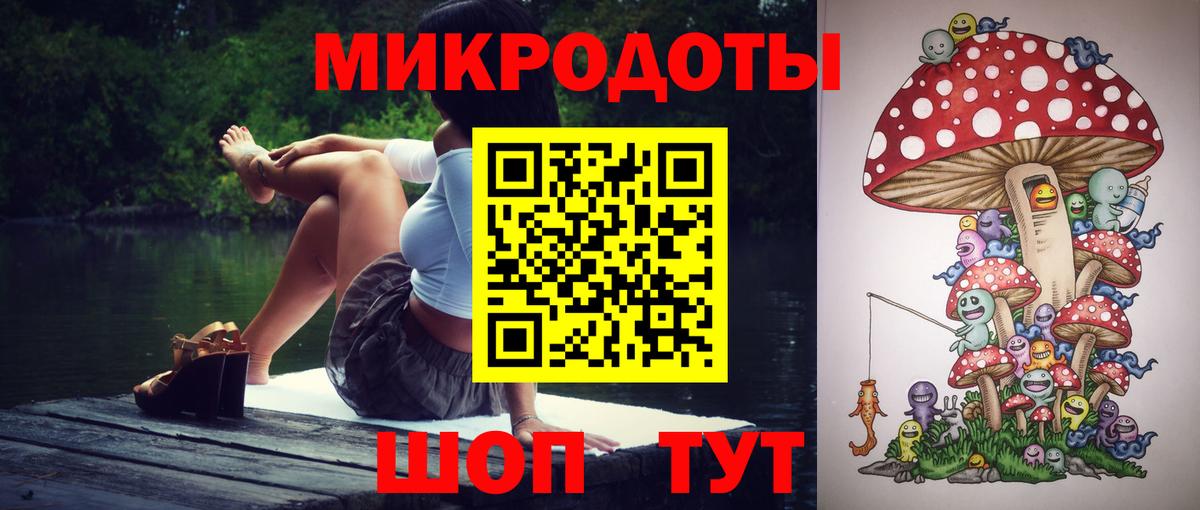 Псилоцибиновые грибы мицелий Брянск